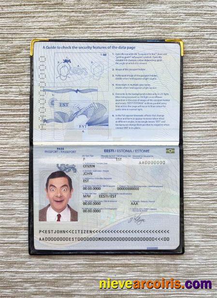 Estonia passport photolook